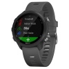Часы Garmin Forerunner 245 (Black/Slate)