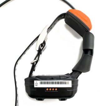t5 mini ru_2