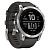 Часы Garmin Fenix 7 Silver/Graphite