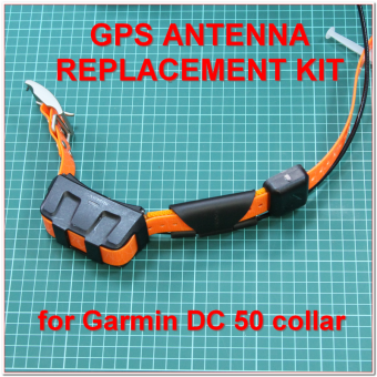 GP08173_4_800